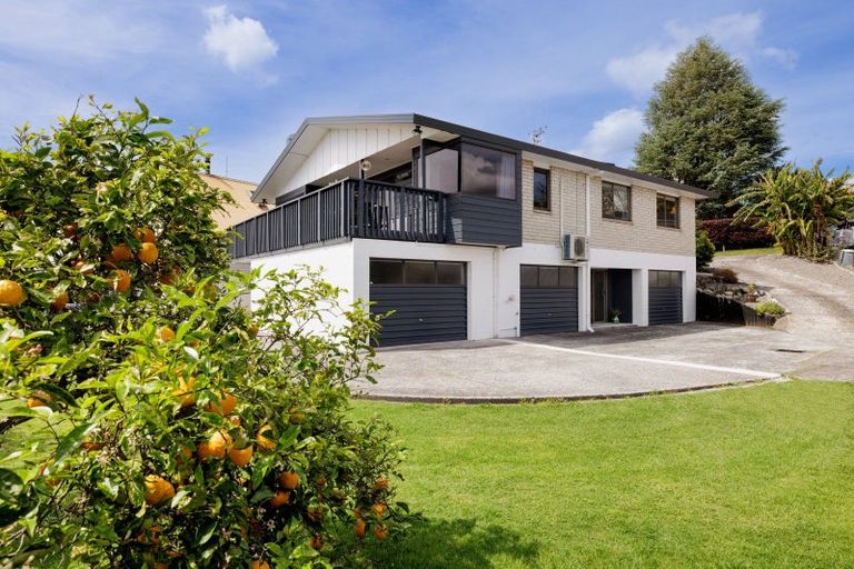 Photo of property in 249 Bellevue Road, Bellevue, Tauranga, 3110