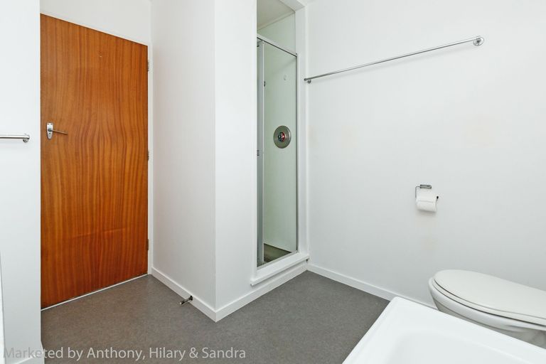 Photo of property in 84a Fitzroy Street, Terrace End, Palmerston North, 4410