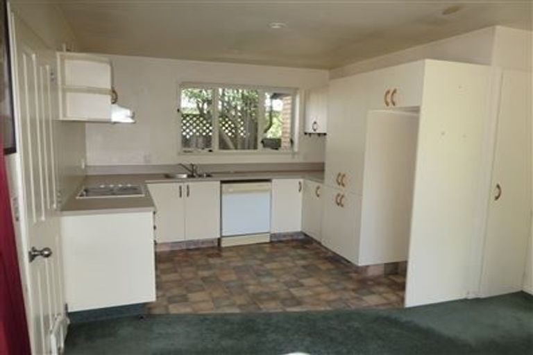 Photo of property in 20 Hornbrook Street, Waltham, Christchurch, 8023