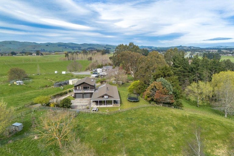Photo of property in 134b Tipapakuku Road, Dannevirke, 4930