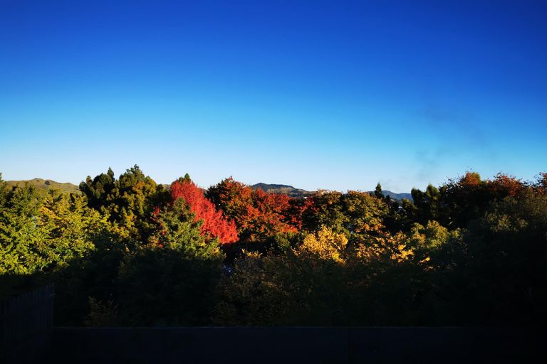 Photo of property in 50 Kimihia Road, Huntly, 3700