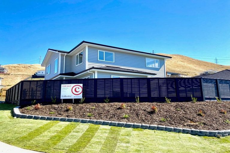 Photo of property in 163 Amesbury Drive, Churton Park, Wellington, 6037