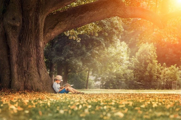 Photo of property in 2 Leeston Dunsandel Road, Leeston, 7632