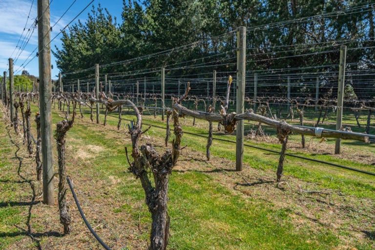 Photo of property in 1114 Omihi Road, Omihi, Amberley, 7483