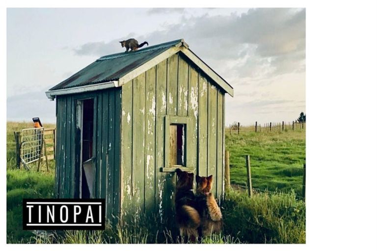 Photo of property in 1509 Tinopai Road, Tinopai, Matakohe, 0593