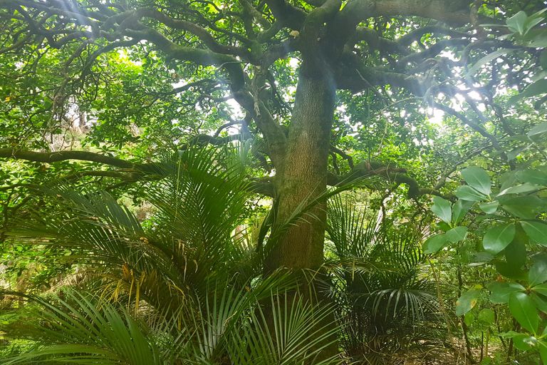 Photo of property in 914 Whakapirau Road, Whakapirau, Maungaturoto, 0583