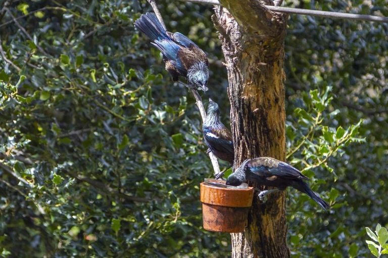 Photo of property in 67 Matatua Road, Raumati Beach, Paraparaumu, 5032