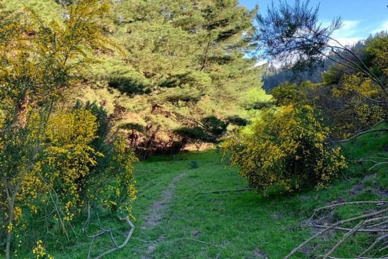 Photo of property in 153b Reservoir Road, Oamaru North, Oamaru, 9492
