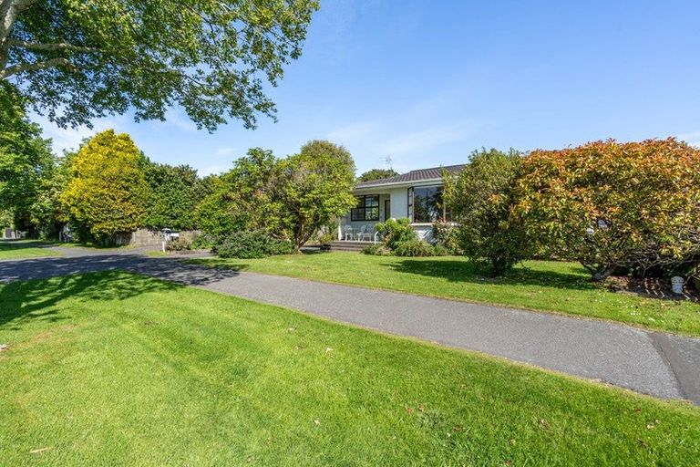 Photo of property in 31a Chelmsford Street, Windsor, Invercargill, 9810