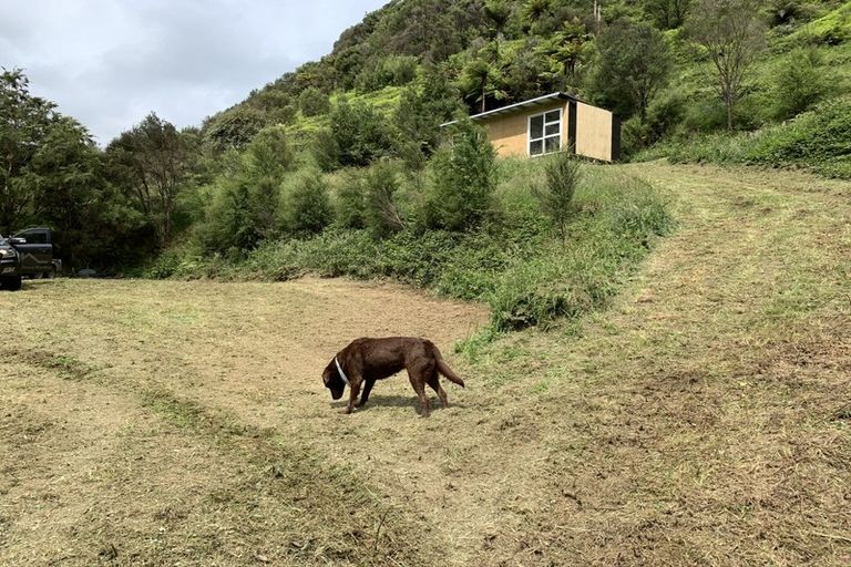 Photo of property in 1044 Pakihi Road, Toatoa, Opotiki, 3197