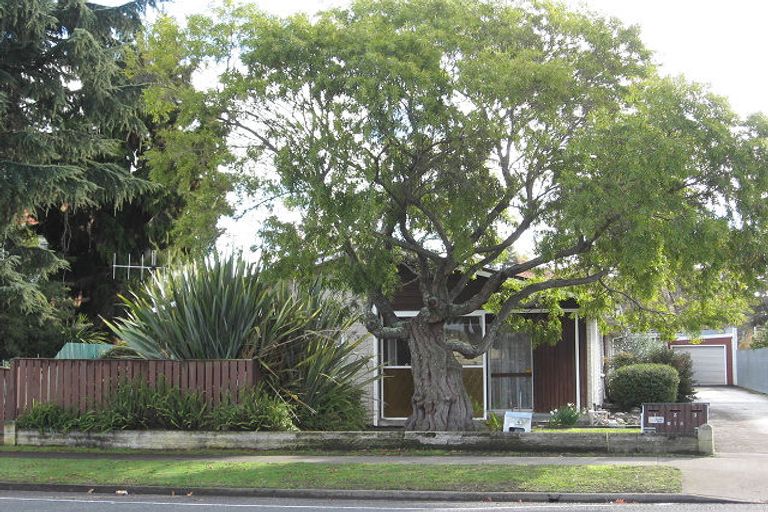 Photo of property in 1/618 Nelson Street North, Hastings, 4122