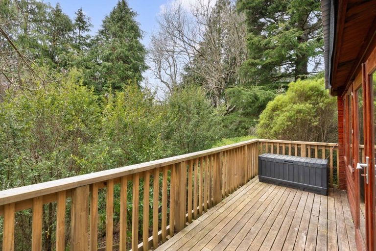 Photo of property in 402 Kaka Amu Road, Rangitumau, Masterton, 5871