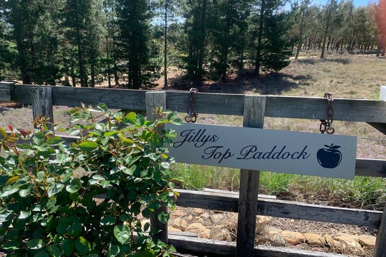 Photo of property in 272 Letts Gully Road, Letts Gully, Alexandra, 9393