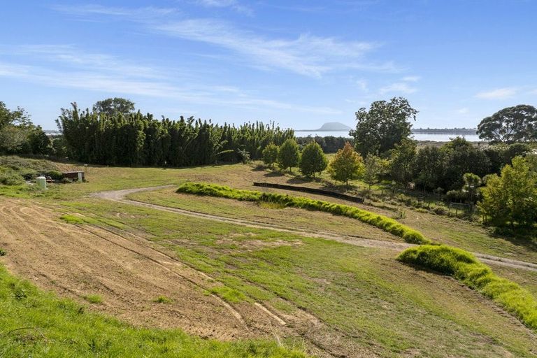 Photo of property in 137 Lochhead Road, Te Puna, Tauranga, 3176