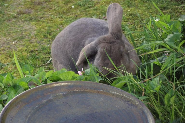 Photo of property in 18 Moresby Avenue, Waihi, 3610