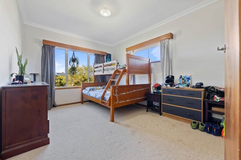 Photo of property in 52 Neal Street, Putaruru, 3411