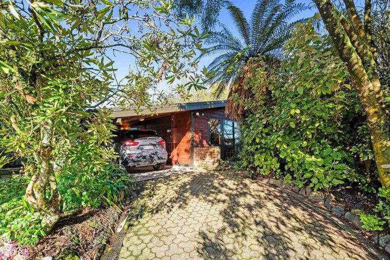 Photo of property in 9 Waikato Place, Tokoroa, 3420