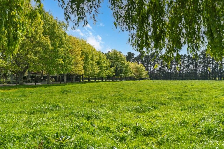 Photo of property in 225 Chester Road, West Taratahi, Carterton, 5791