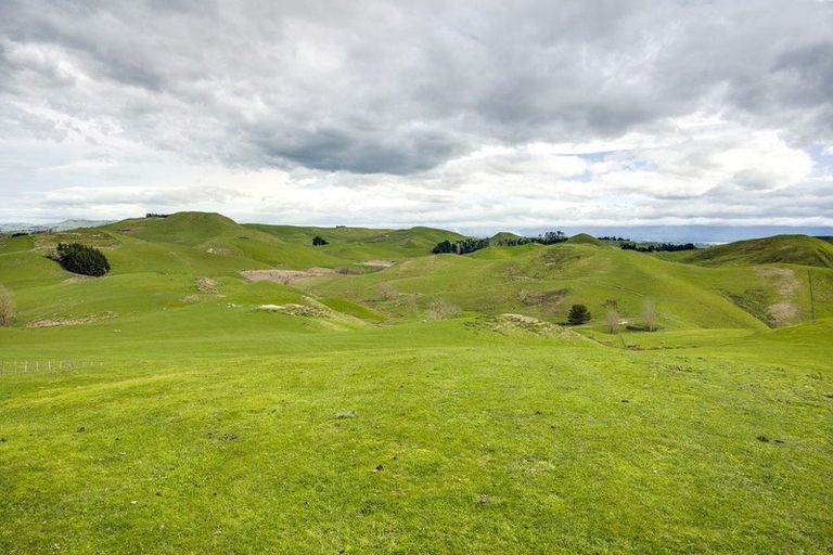 Photo of property in 210 Ongaonga Road, Waipawa, 4272