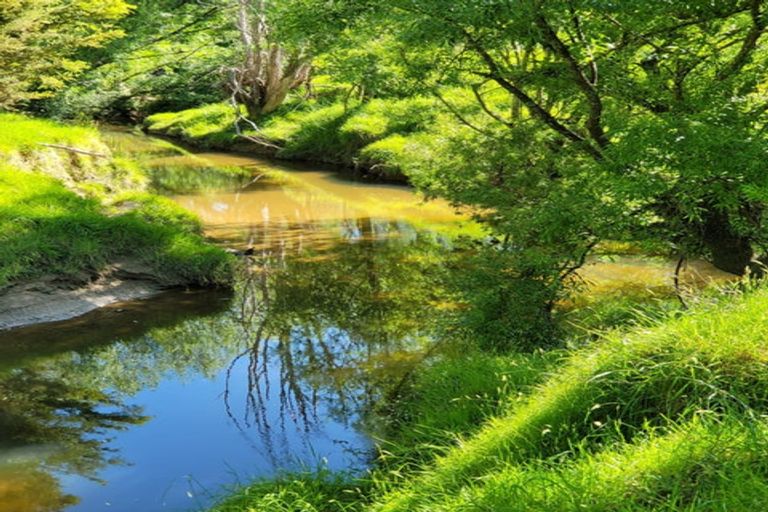 Photo of property in 590 Murray Road, Tangowahine, Dargaville, 0372