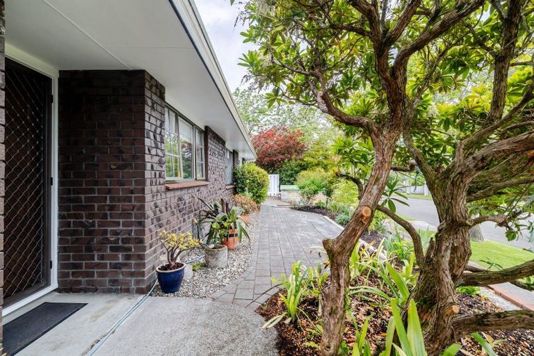 Photo of property in 69 Slacks Road, Awapuni, Palmerston North, 4412