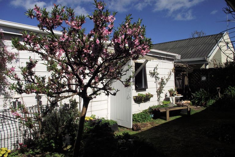 Photo of property in 18 Moresby Avenue, Waihi, 3610