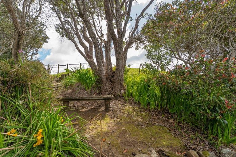 Photo of property in 3 Puketitiro Place, Wharekaho, Whitianga, 3592