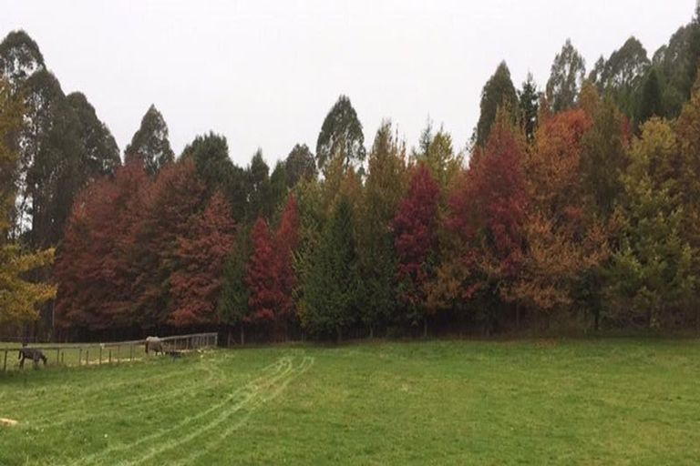 Photo of property in 1305 Motueka Valley Highway, Ngatimoti, Motueka, 7196