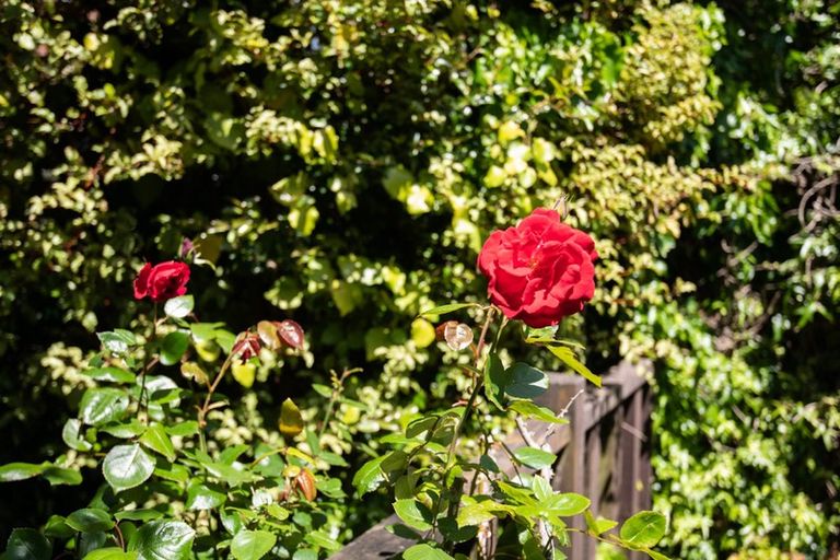 Photo of property in 72 Churton Drive, Churton Park, Wellington, 6037