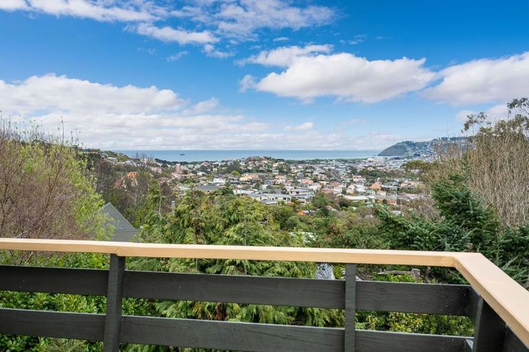 Photo of property in 27 Elliffe Place, Shiel Hill, Dunedin, 9013