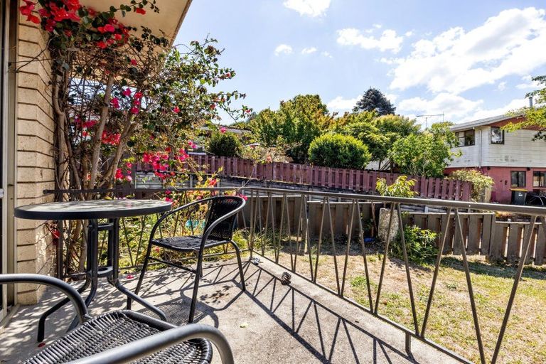 Photo of property in 66 Hazelwood Avenue, Dinsdale, Hamilton, 3204