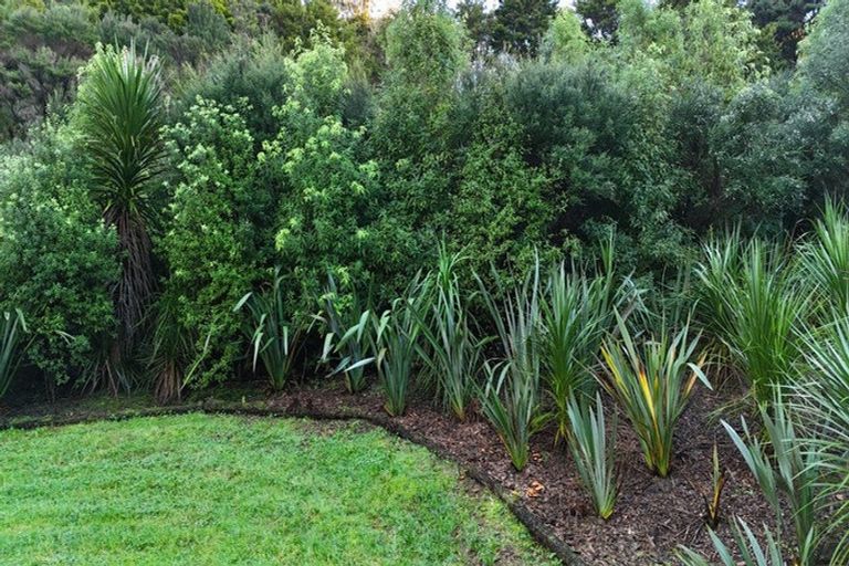 Photo of property in 33 Carter Road, Mangawhai, 0975