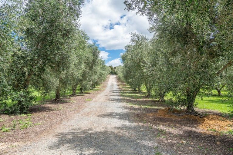 Photo of property in 90c Leccino Valley Road, Mangonui, 0494