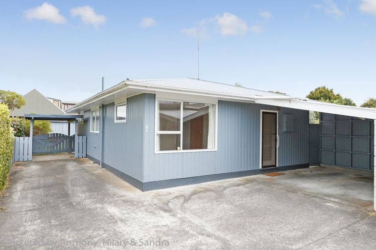 Photo of property in 84a Fitzroy Street, Terrace End, Palmerston North, 4410