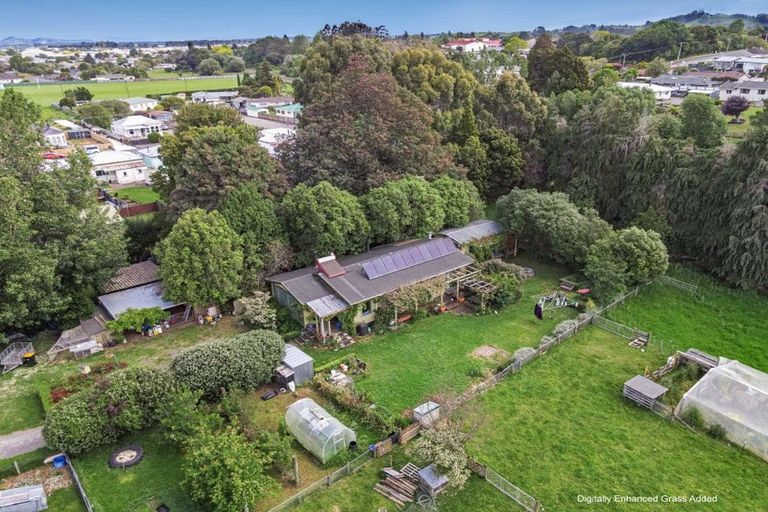 Photo of property in 16 Cole Street, Dannevirke, 4930