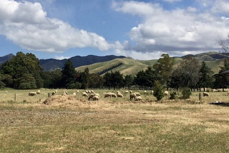 Photo of property in 57 Grigg Drive, Witherlea, Blenheim, 7201