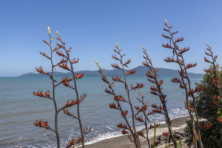 Photo of property in 131 Rosetta Road, Raumati South, Paraparaumu, 5032