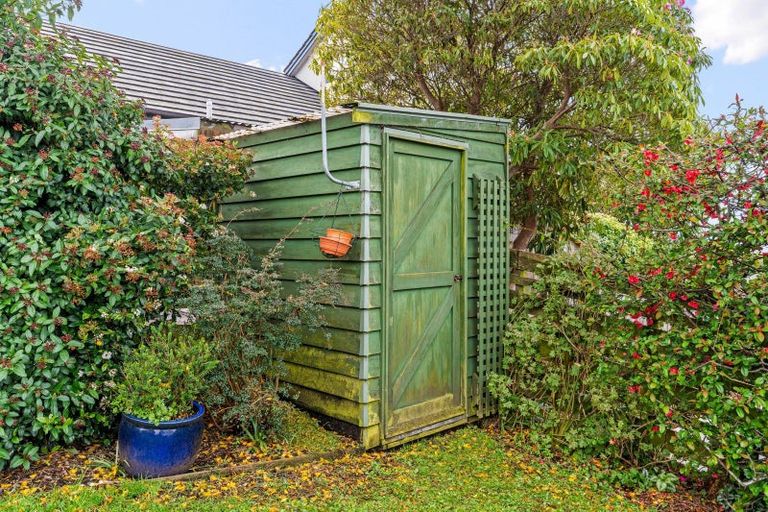 Photo of property in 16 Napier Street, Belleknowes, Dunedin, 9011