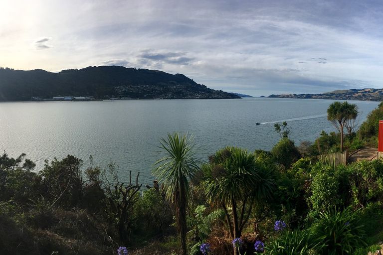 Photo of property in 6 Lot Rc, 252 Portobello Road, The Cove, Dunedin, 9077