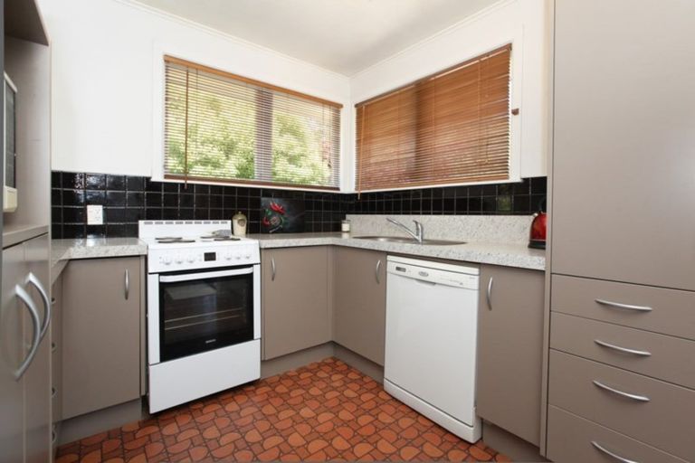 Photo of property in 149 Rimu Street, Maeroa, Hamilton, 3200