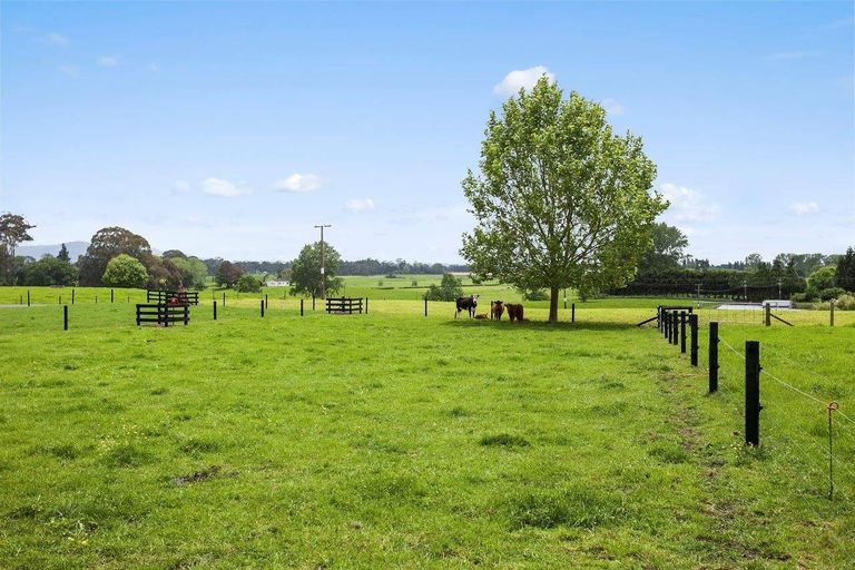 Photo of property in 43 Kerr Road, Te Poi, Matamata, 3473