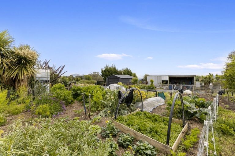 Photo of property in 114 Green Island Bush Road, Blackhead, Dunedin, 9076
