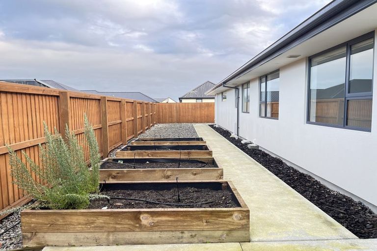 Photo of property in 3 Snow Cup Close, Lincoln, 7608