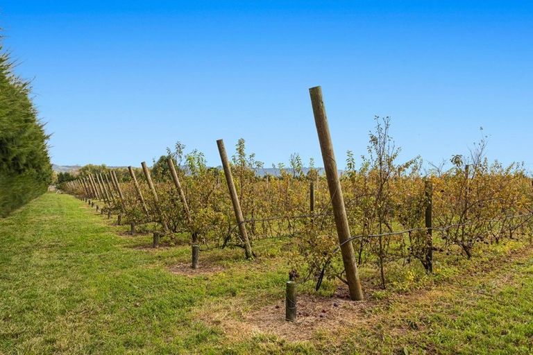 Photo of property in 17 Mccutchan Road, Otakiri, Whakatane, 3193