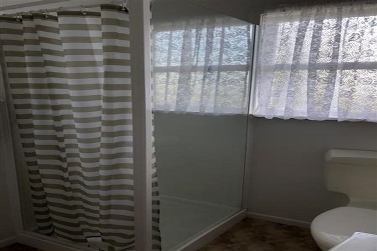 Photo of property in 53 Bath Street, Levin, 5510