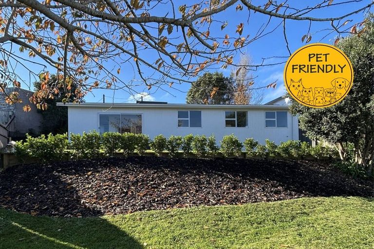 Photo of property in 163b Pembroke Street, Westown, New Plymouth, 4310