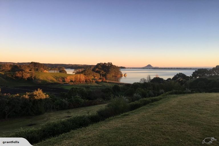 Photo of property in 231 Burke Road, Wainui, Opotiki, 3198