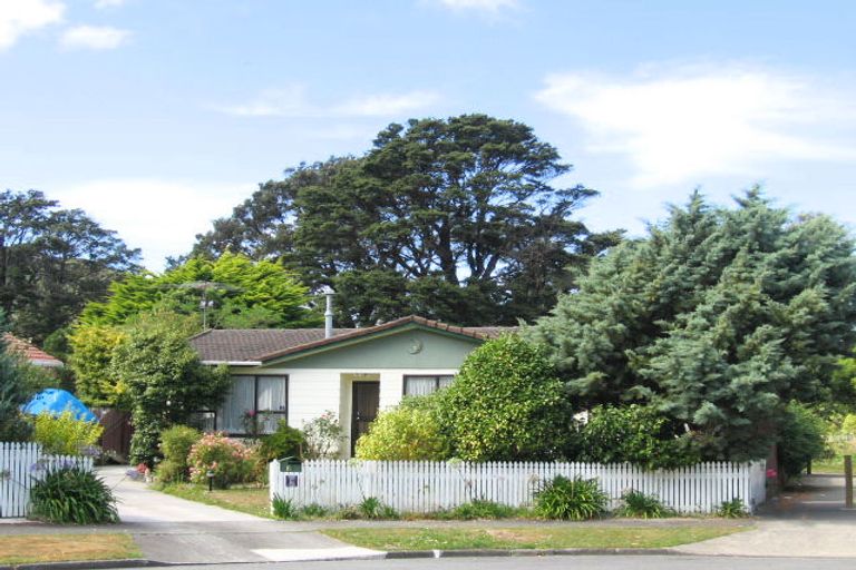 Photo of property in 6 Wyoming Grove, Totara Park, Upper Hutt, 5018