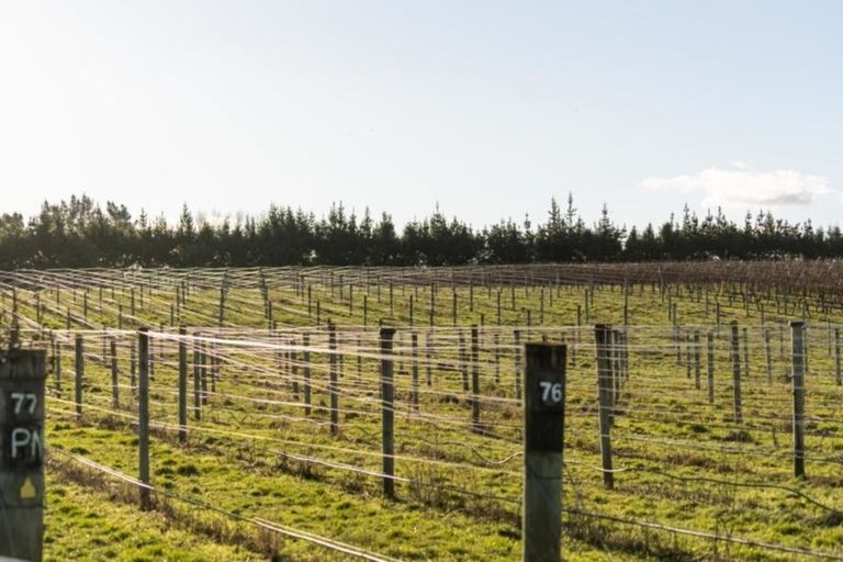 Photo of property in 20 Dakins Road, East Taratahi, Carterton, 5887