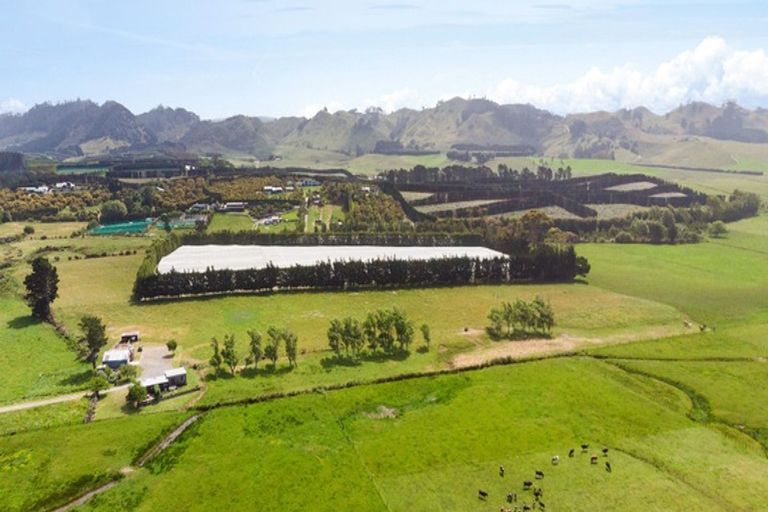 Photo of property in 105 Emerton Road, Athenree, Katikati, 3177